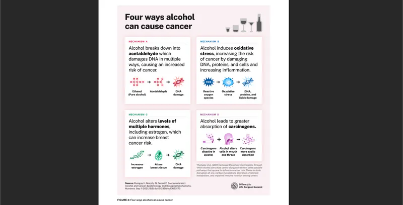 Infographic showing four ways alcohol can cause cancer: breaking down into acetaldehyde, inducing oxidative stress, altering hormone levels, and amplifying effects of other carcinogens